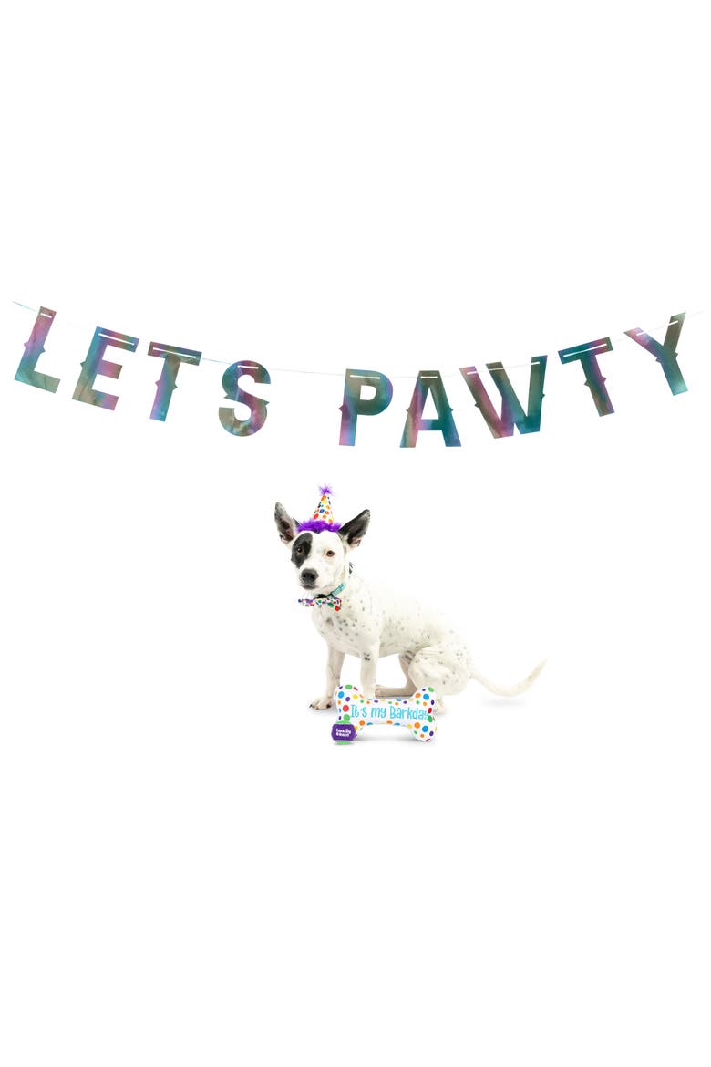Dog Celebration Box, Alternate, color, PURPLE