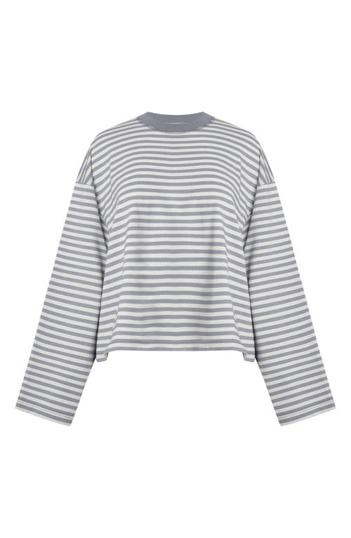 Lioness Bloom Stripe Top In Gray