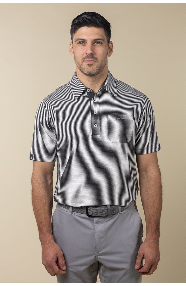 ASHWORTH GOLF Trestles Polo, Alternate, color, Asphalt