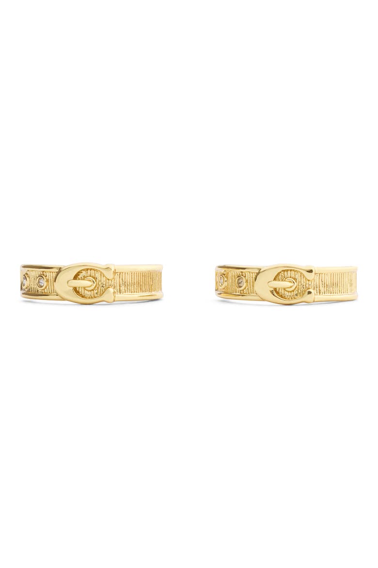 Brushed Buckle Hoop Earrings, Alternate, color, SHINY GOLD