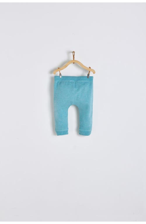 Babycottons Pima Colors Harem Baby Pants For Infant In Blue