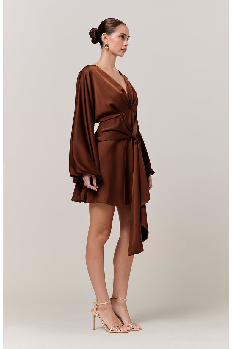 Irena Mini Dress, Alternate, color, Chocolate