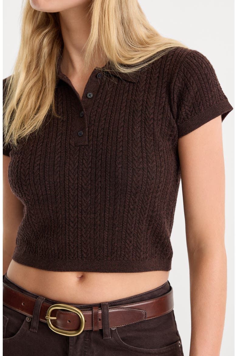 The Micro Cable Merino Wool Polo, Alternate, color, ESPRESSO