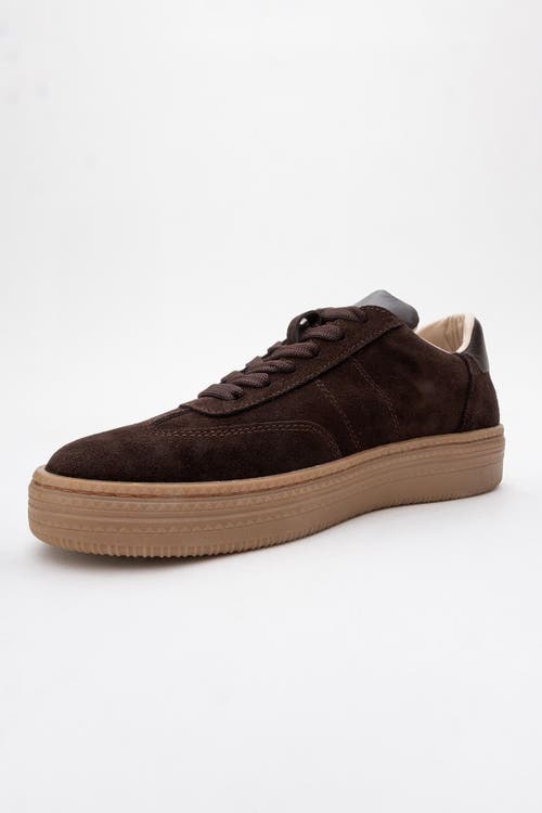 Forever & Always Shoes Fyore Leather Sneakers In Brown Suede Leather