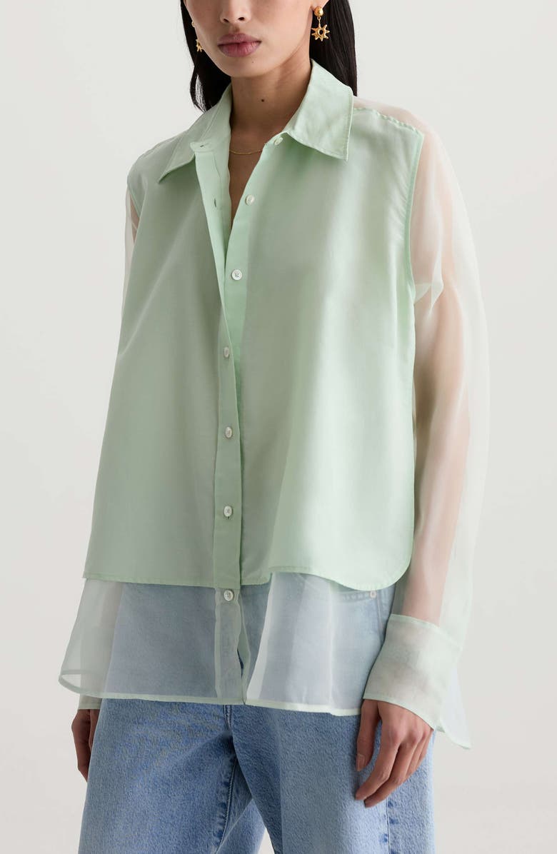 AG Sawtelle Oversize Silk & Cotton Button-Up Shirt, Alternate, color, Summer Vine