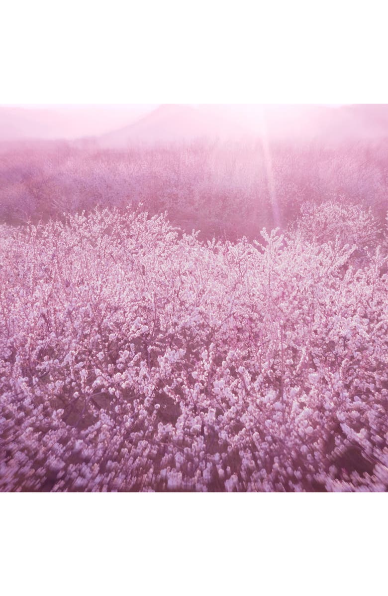 Estée Lauder Luxury Collection Dream Dusk Eau de Parfum, Alternate, color, 