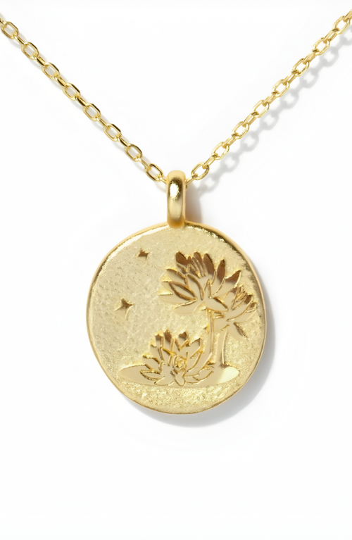 Little Sky Stone Birth Flower Necklace In Gold