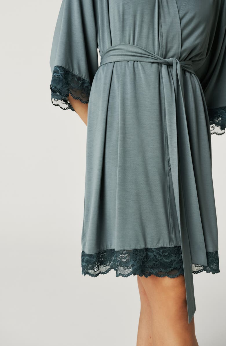 Posh Peanut Lace Trim Robe, Alternate, color, Blue