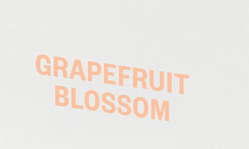 Apotheke Grapefruit Blossom Reed Diffuser In Transparent