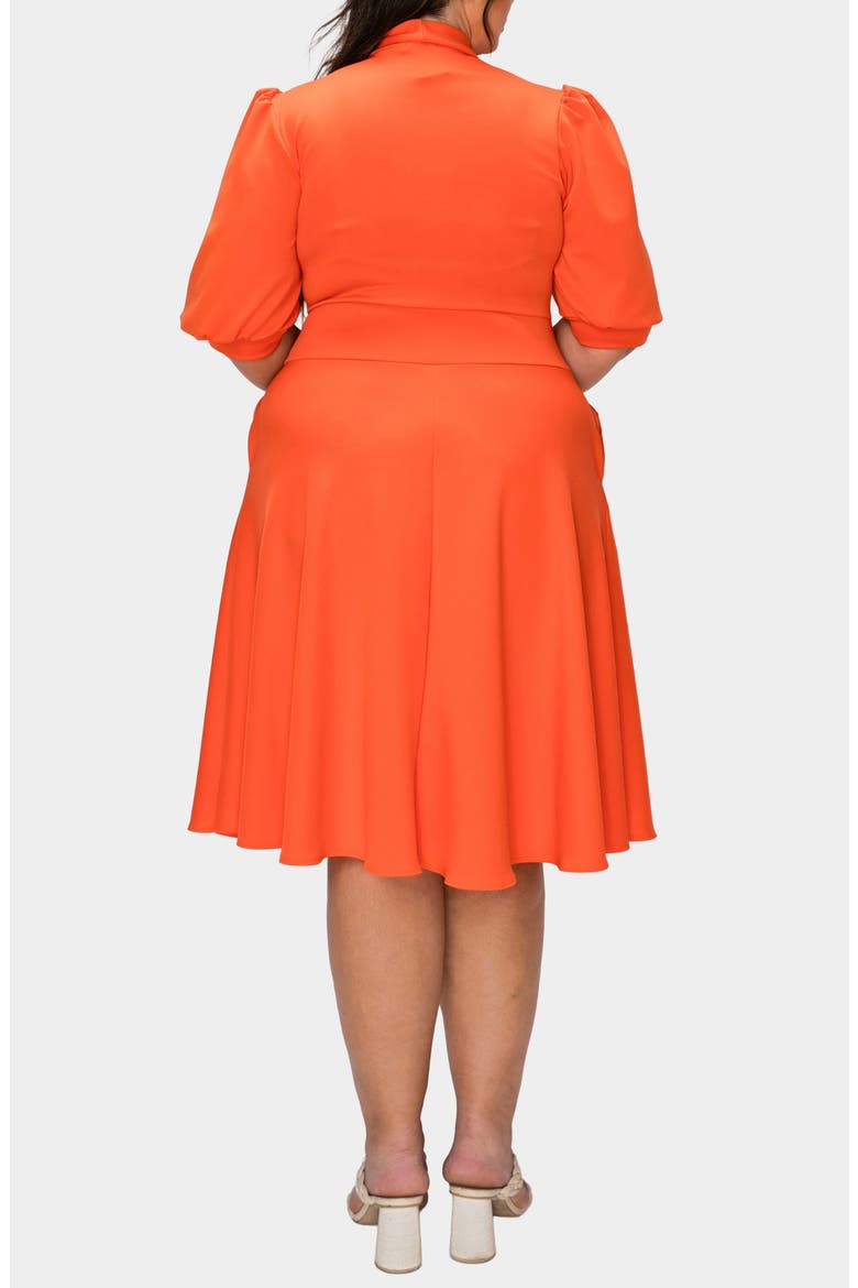Carina Donna Fit & Flare Midi Dress, Alternate, color, ORANGE NEW