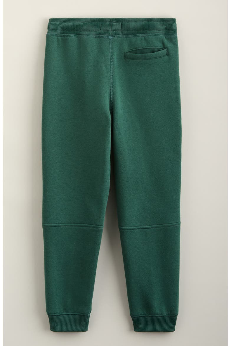 Kids' Drawstring Cotton Blend Joggers, Alternate, color, GREEN TREKKING
