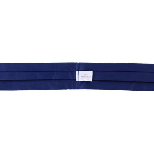 Trafalgar Grant Solid Colored Silk Ascot