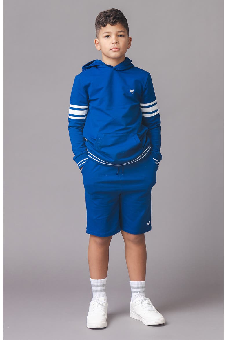 Kids' Organic French Terry Kanga Hoodie, Alternate, color, Bold Blue
