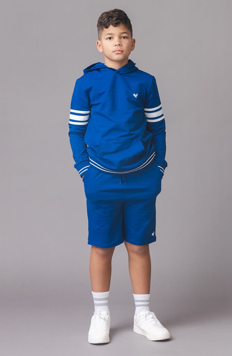 Hope & Henry Kids' Organic French Terry Kanga Hoodie, Alternate, color, Bold Blue