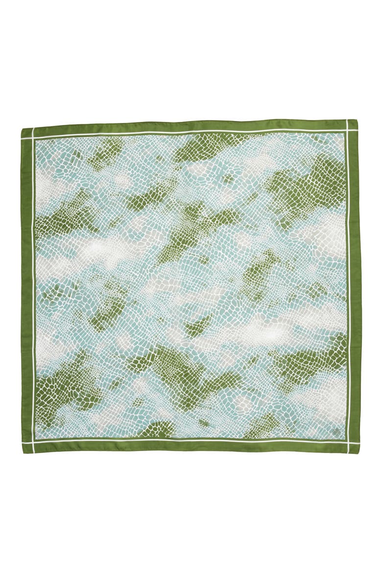 Henna & Hijabs Silk Hijab, Alternate, color, GREEN BRONZE SNAKE