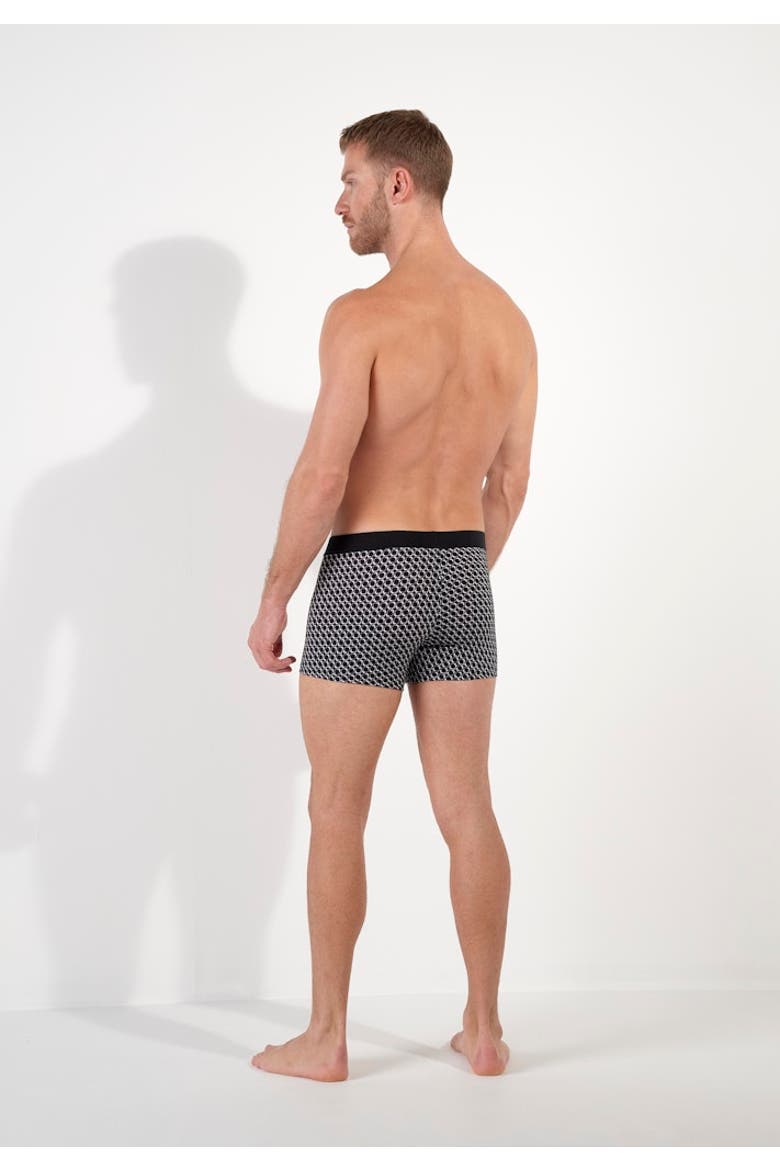 Waldorf Comfort Boxer Briefs HO1, Alternate, color, Grey Print