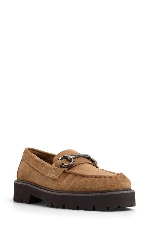 Aldo Danrose Loafer In Brown