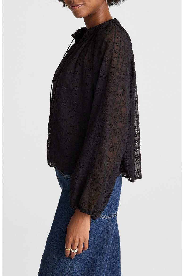 Embroidered Tie Neck Long Sleeve Top, Alternate, color, JET BLACK