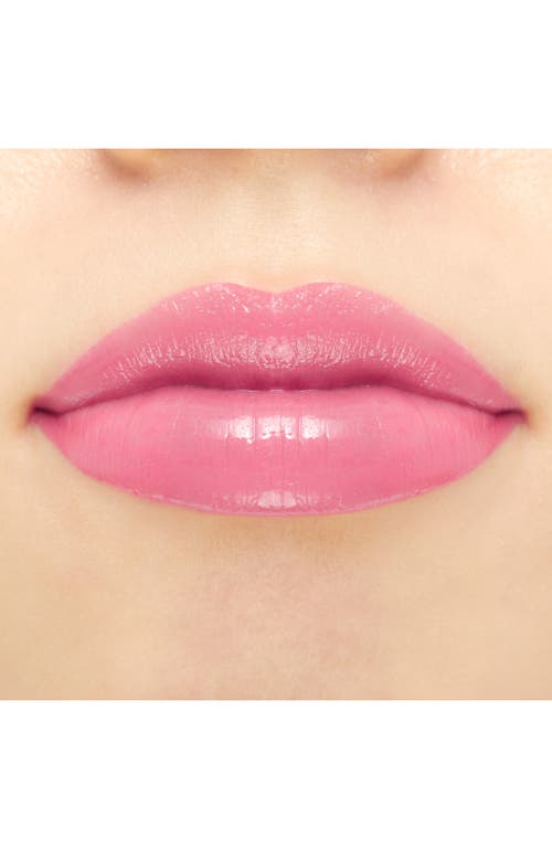 Anna Sui Rouge In Rich And Sweet Fig Pink 308