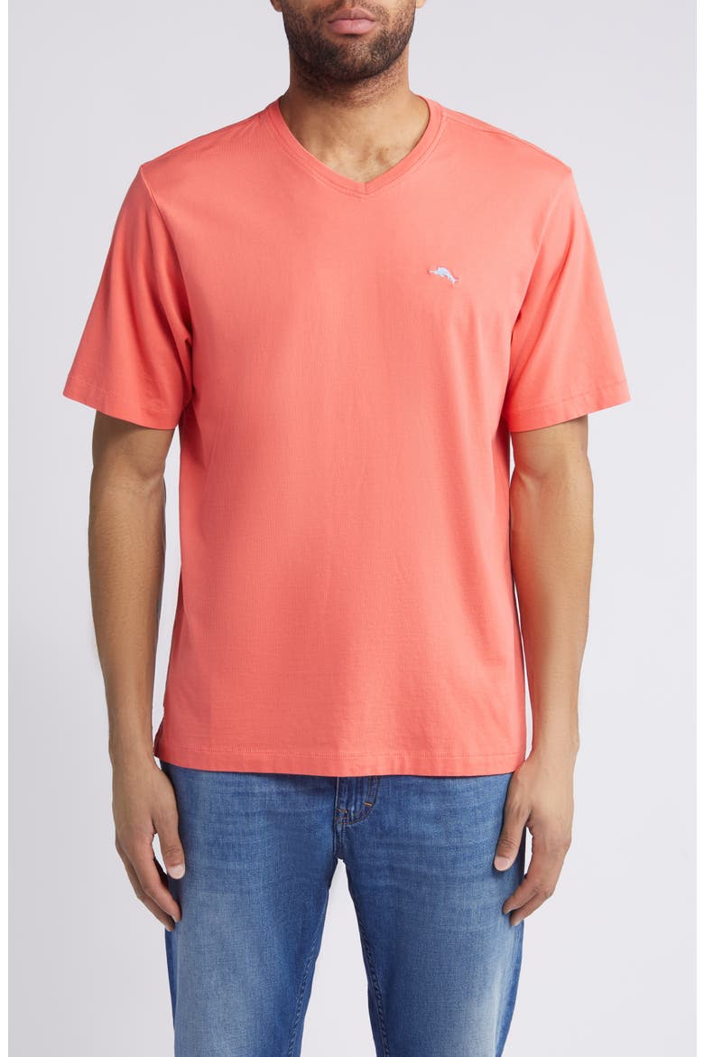 New Bali Skyline V-Neck T-Shirt, Main, color, DUBARRY CORAL