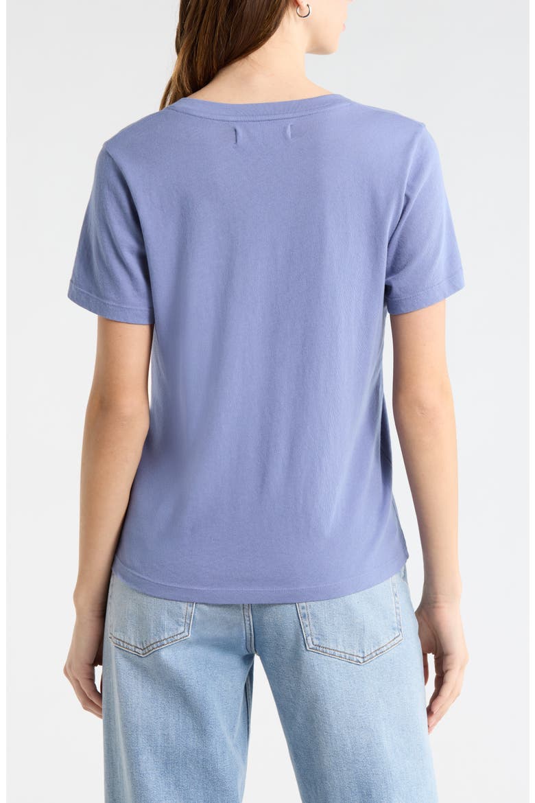 The Organic Cotton V-Neck Tee, Alternate, color, Steel Blue