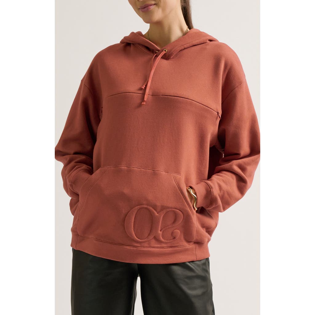 Cache Couer Boston Maternity & Nursing Hoodie In Brown
