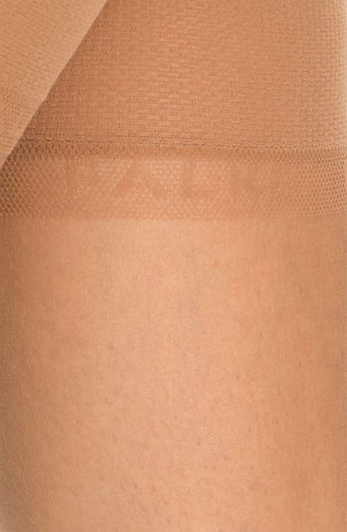 Falke 'shelina 12 Denier' Ultra Sheer Knee Highs In Powder