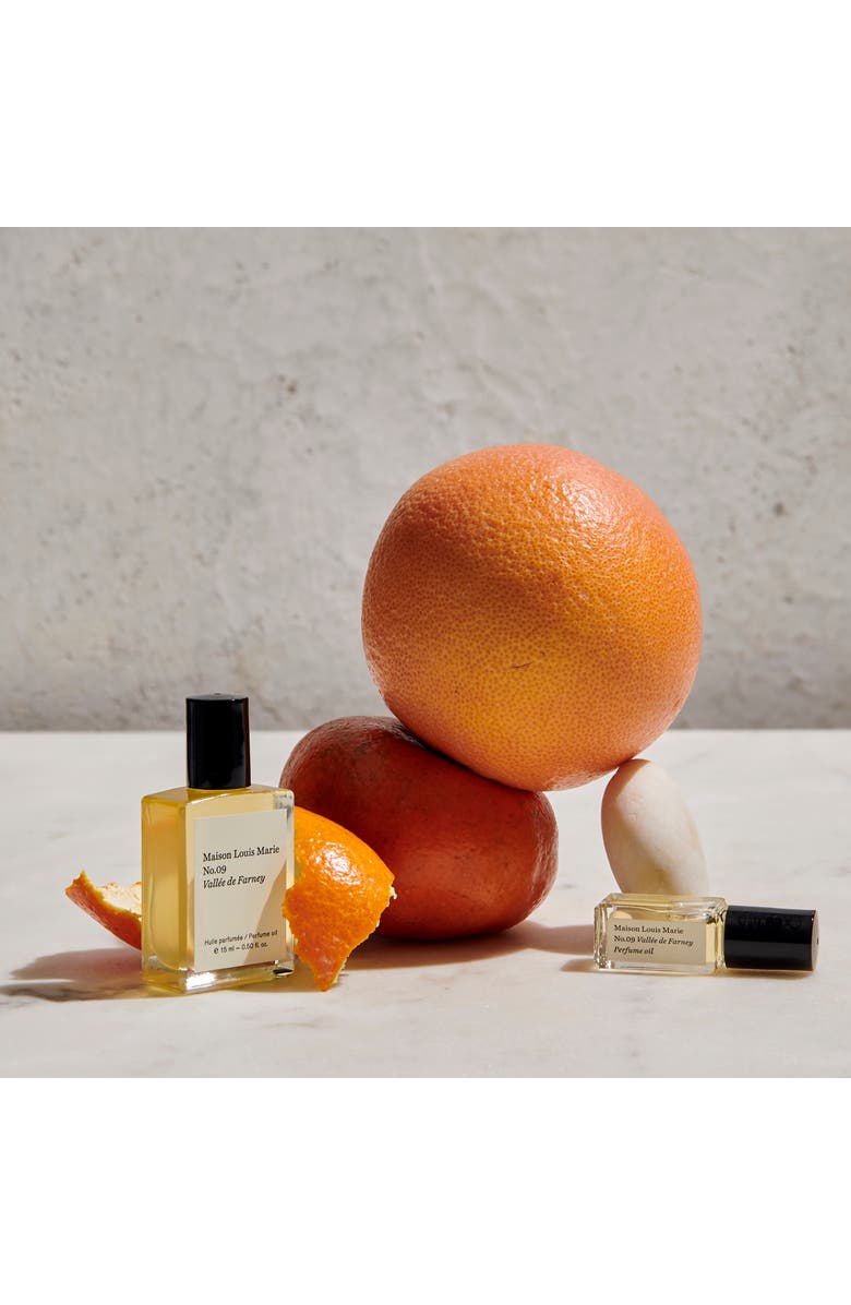 Maison Louie Marie No.09 Vallee de Farney, Alternate, color, NO COLOR