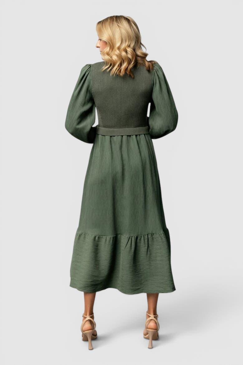Alva Sweater Dress, Alternate, color, Dusty Green