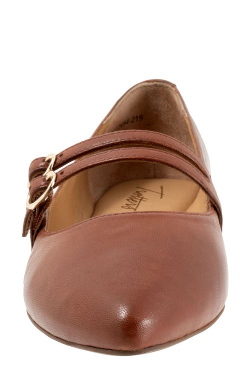 Trotters Emerald Pointed Toe Mary Jane Flat In Luggage