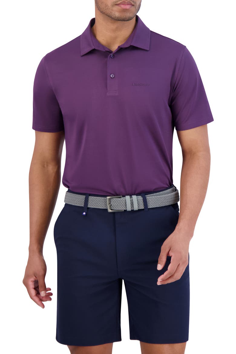 Solid Tech Pique Sports Fit Polo, Main, color, PURPLE