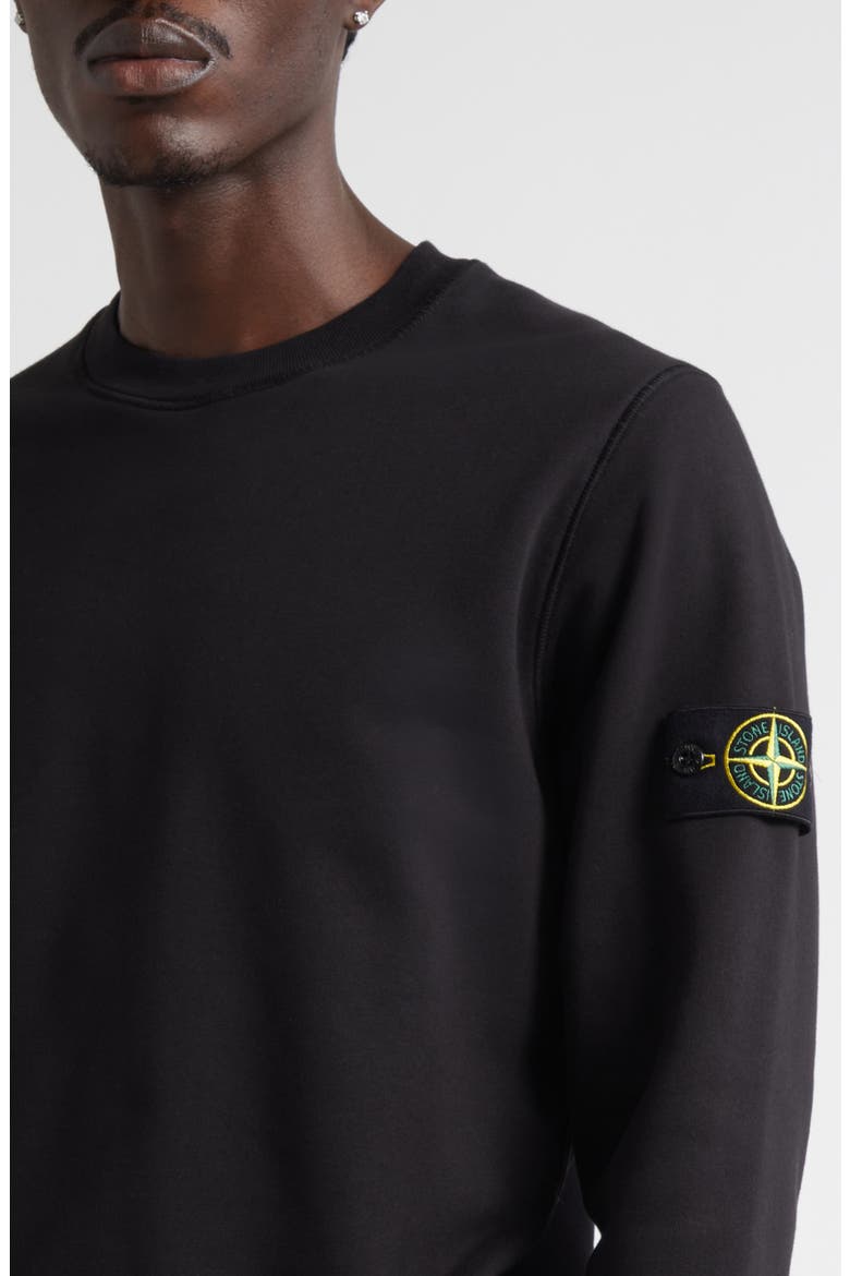 Compass Logo Patch Cotton Crewneck Sweatshirt, Alternate, color, V0029 BLACK