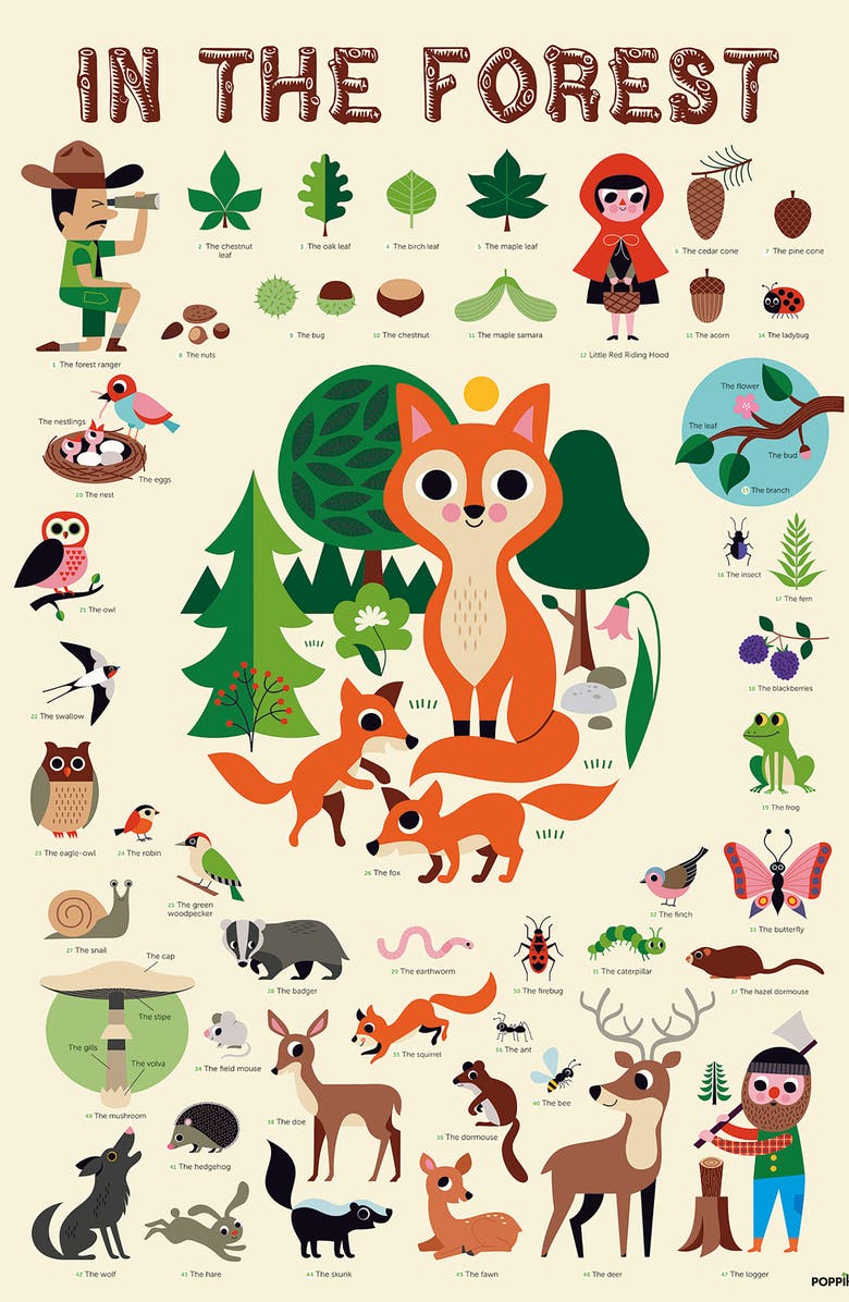 Scrunch The Forest Discovery Poster & Stickers, Alternate, color, 