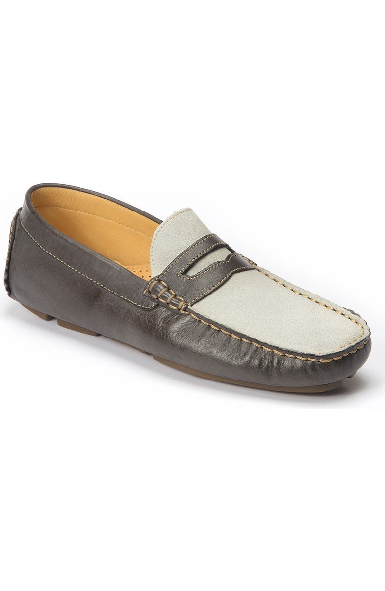 Sandro Moscoloni Reno Driving Shoe, Alternate, color,