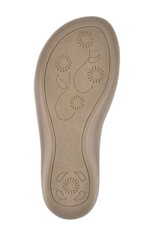 Cliffs By White Mountain Cienna Thong Comfort Sandal