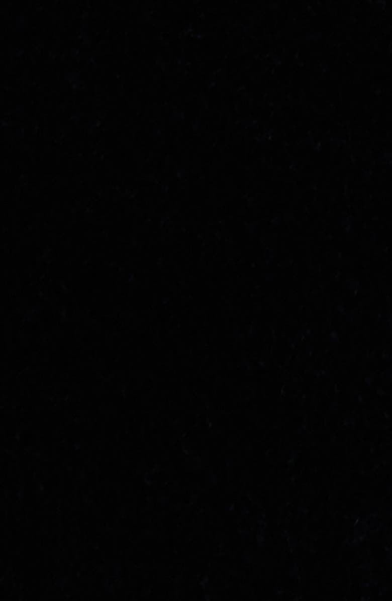 Isabel Marant Pietra Floral Stud Velveteen Jacket, Alternate, color, Black