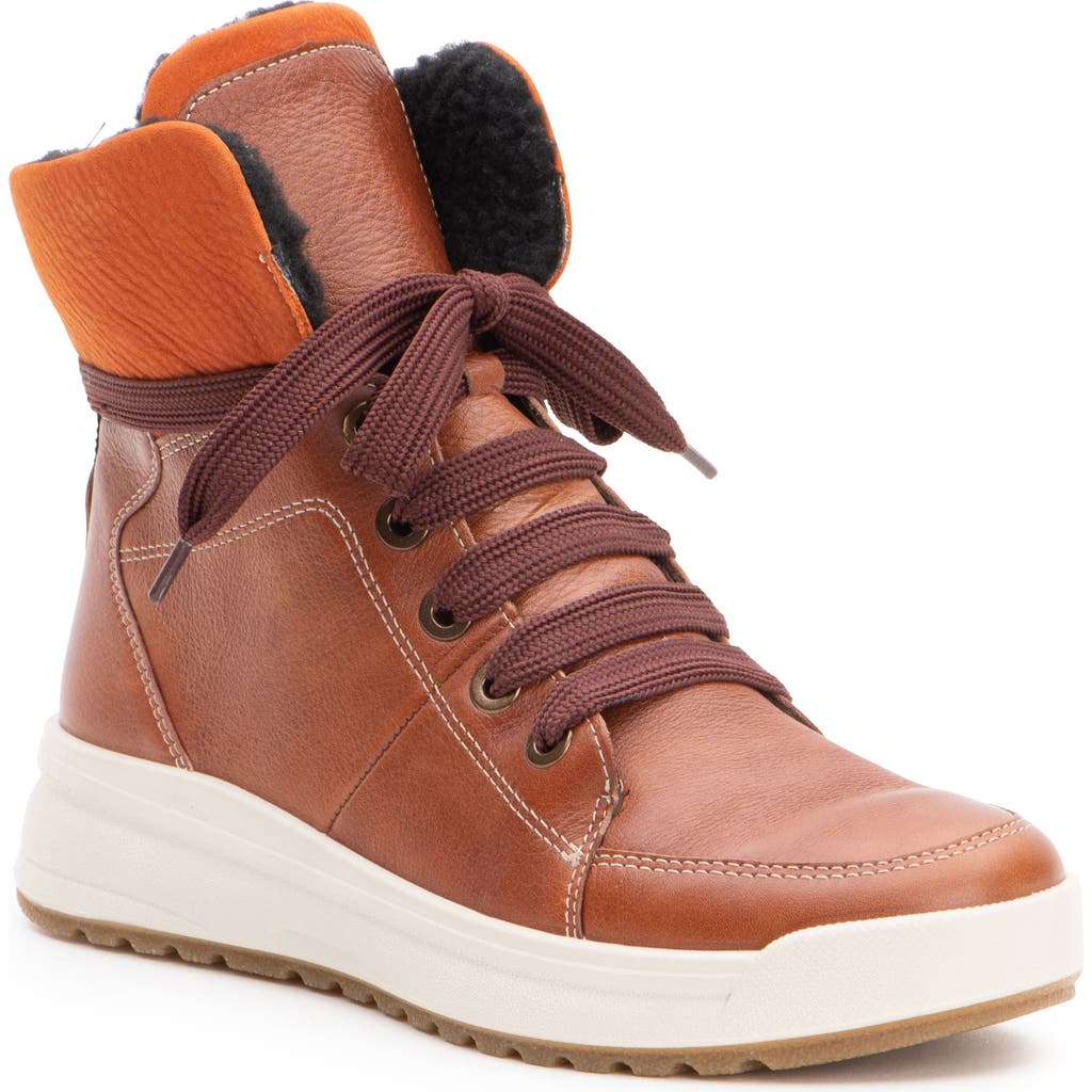 ara Albany Water Repellent Wool Lined Bootie in Cognac/Ambra  product