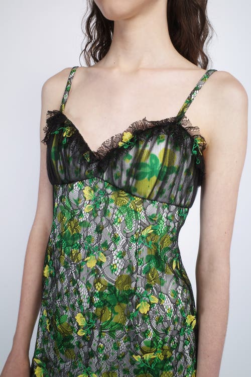 Anna Sui Rosebuds And Lace Combo Dress In Multi