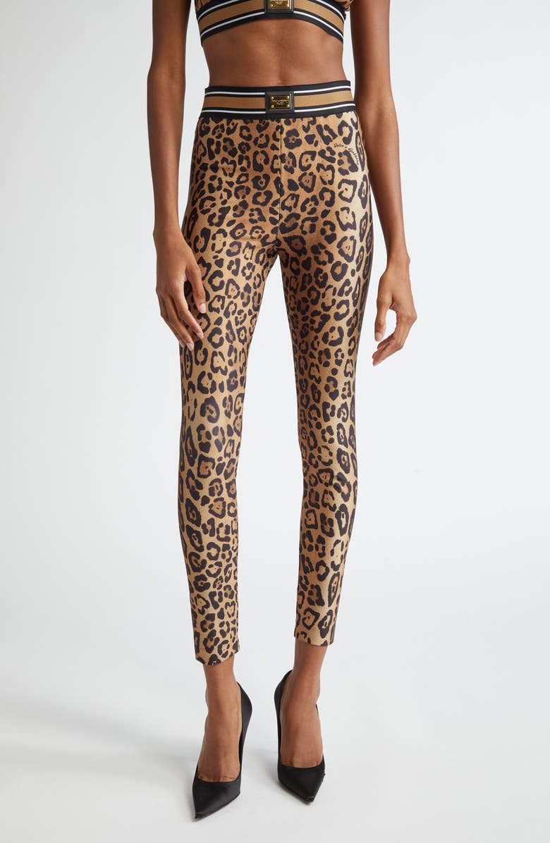 Dolce&Gabbana Leopard Print Leggings, Main, color, Leopard