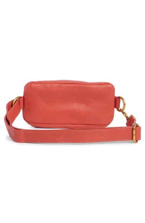 Hobo Fern Leather Belt Bag In Brown