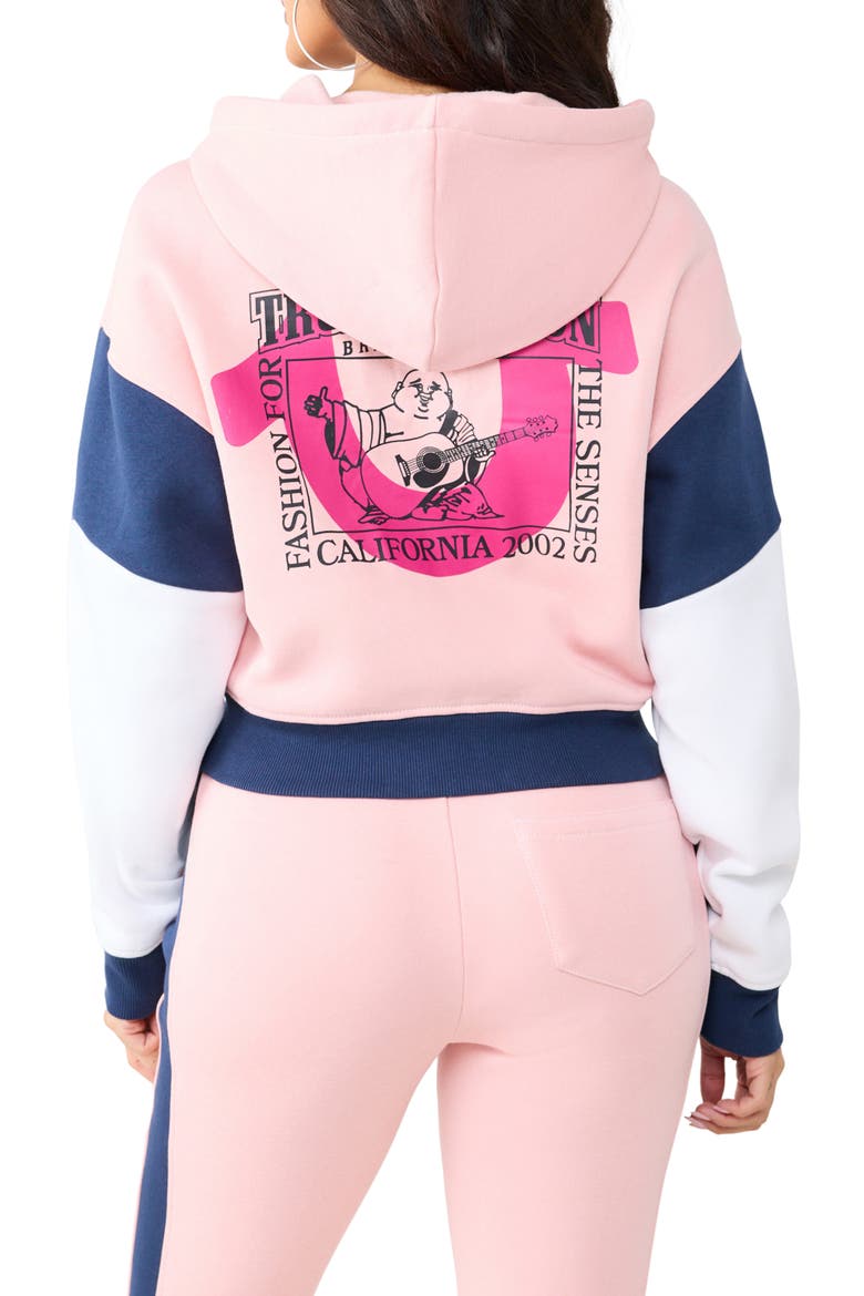 Colorblock Crop Zip Hoodie, Alternate, color, DULL PINK / DRESS BLUE