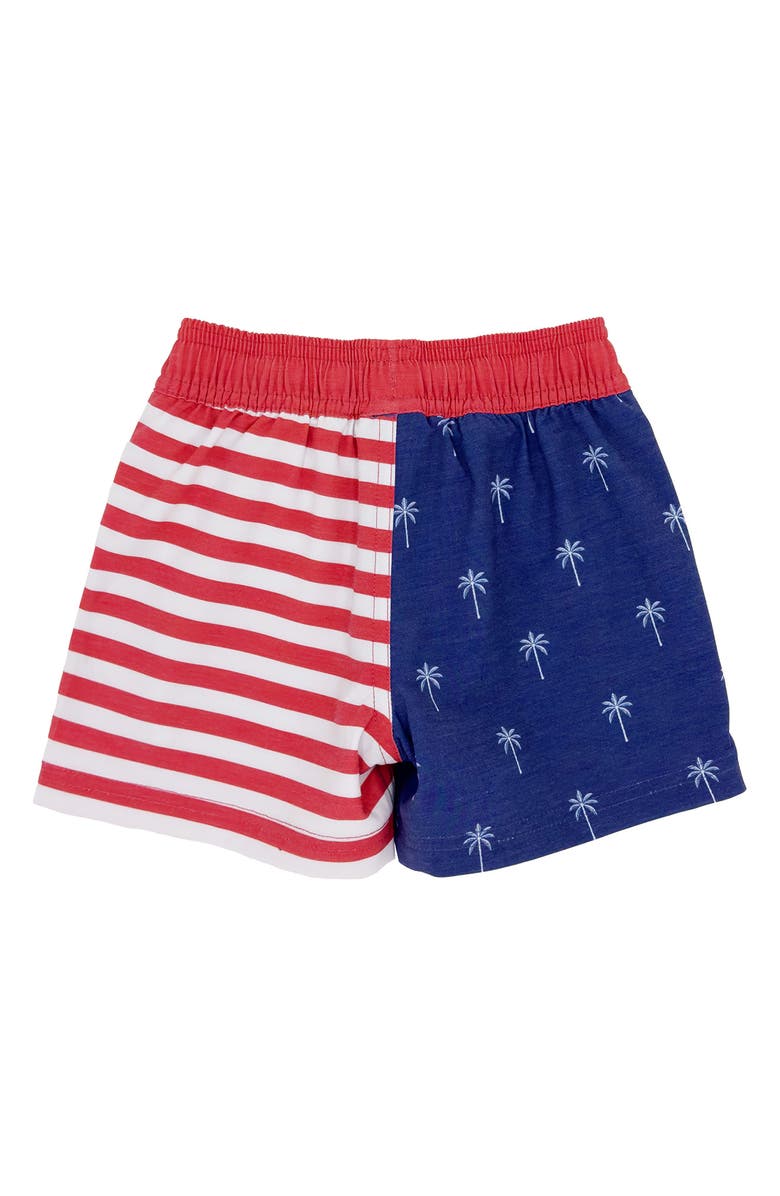 Feather 4 Arrow Palm Stripe Volley Swim Trunks, Alternate, color, 