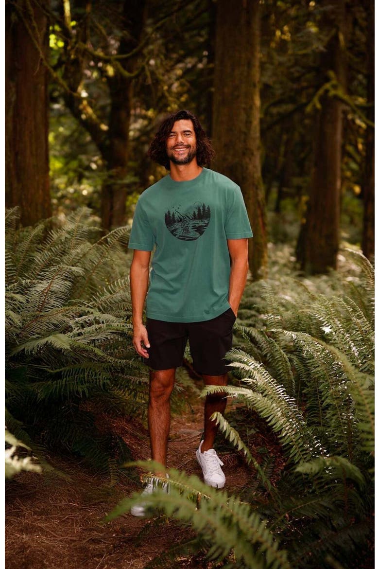 Regenerative Lake Life Portal T-Shirt, Alternate, color, Tidal Teal/Meteorite Black