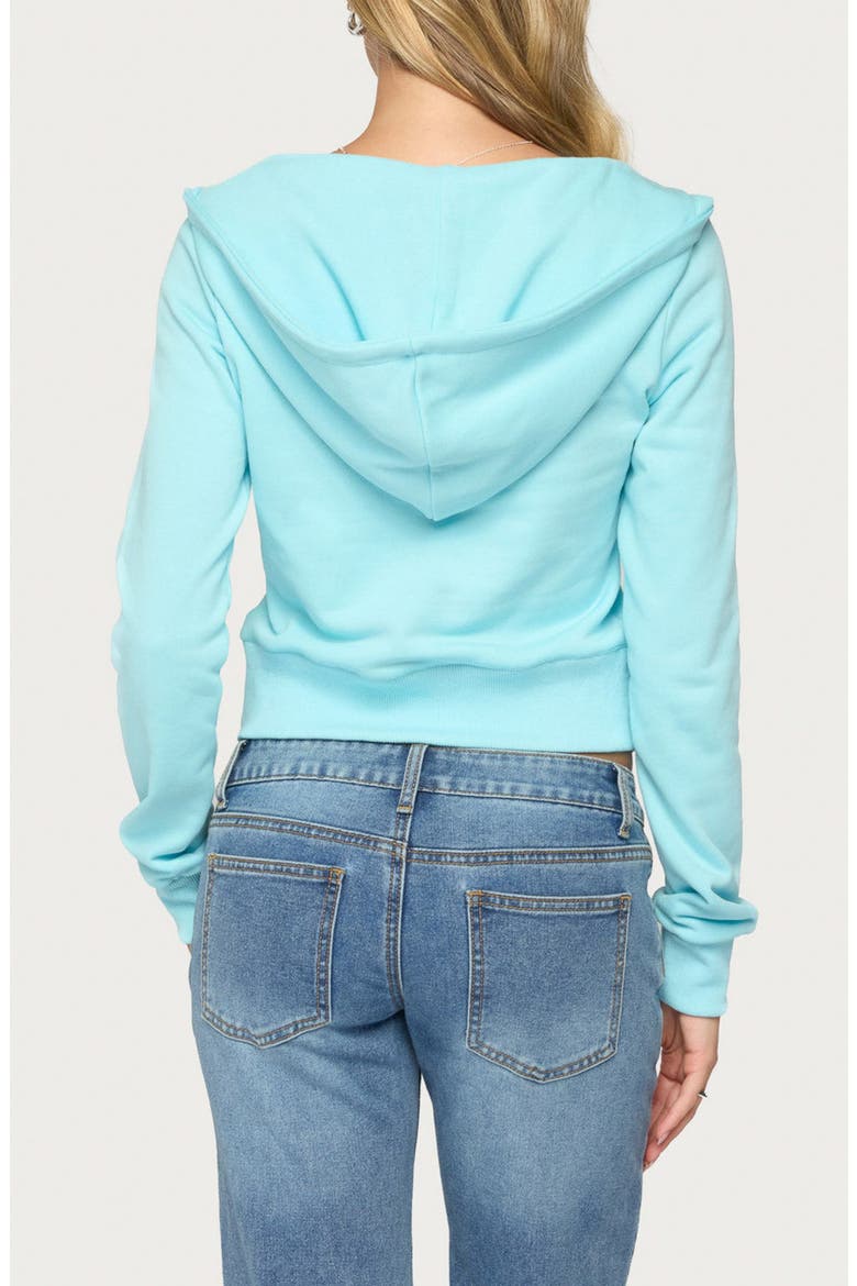 Ilisa Hooded Long Sleeve Top, Alternate, color, AQUA