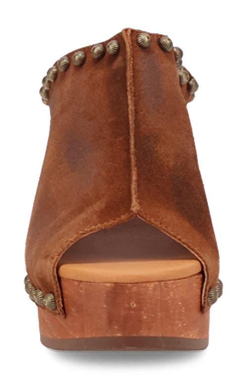 Dingo Echo Clog