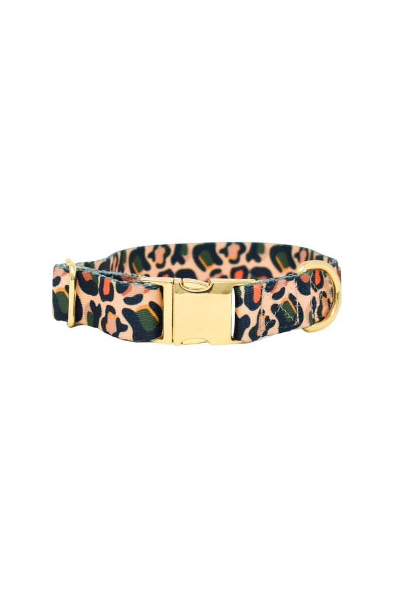 Beckett Dog Collar, Main, color, Beckett