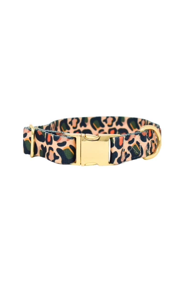 Pink Papyrus Beckett Dog Collar, Main, color, Beckett
