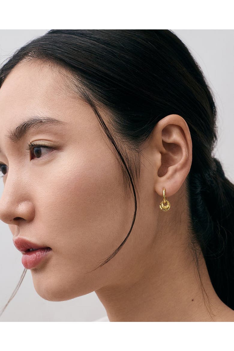 Gold Raye Charm Huggie Hoops, Alternate, color, Gold
