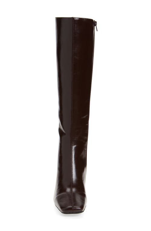 Jeffrey Campbell Darlings Pointed Toe Knee High Boot In Brown