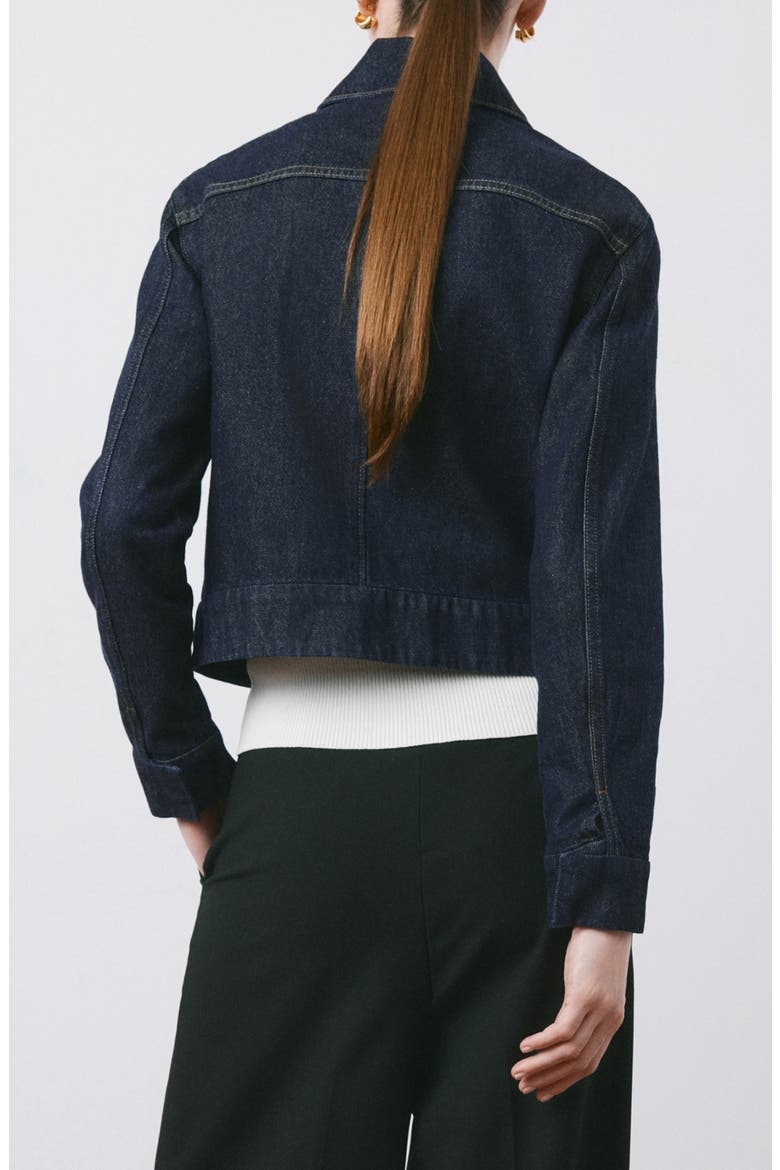 Denim Jacket, Alternate, color, BLUE